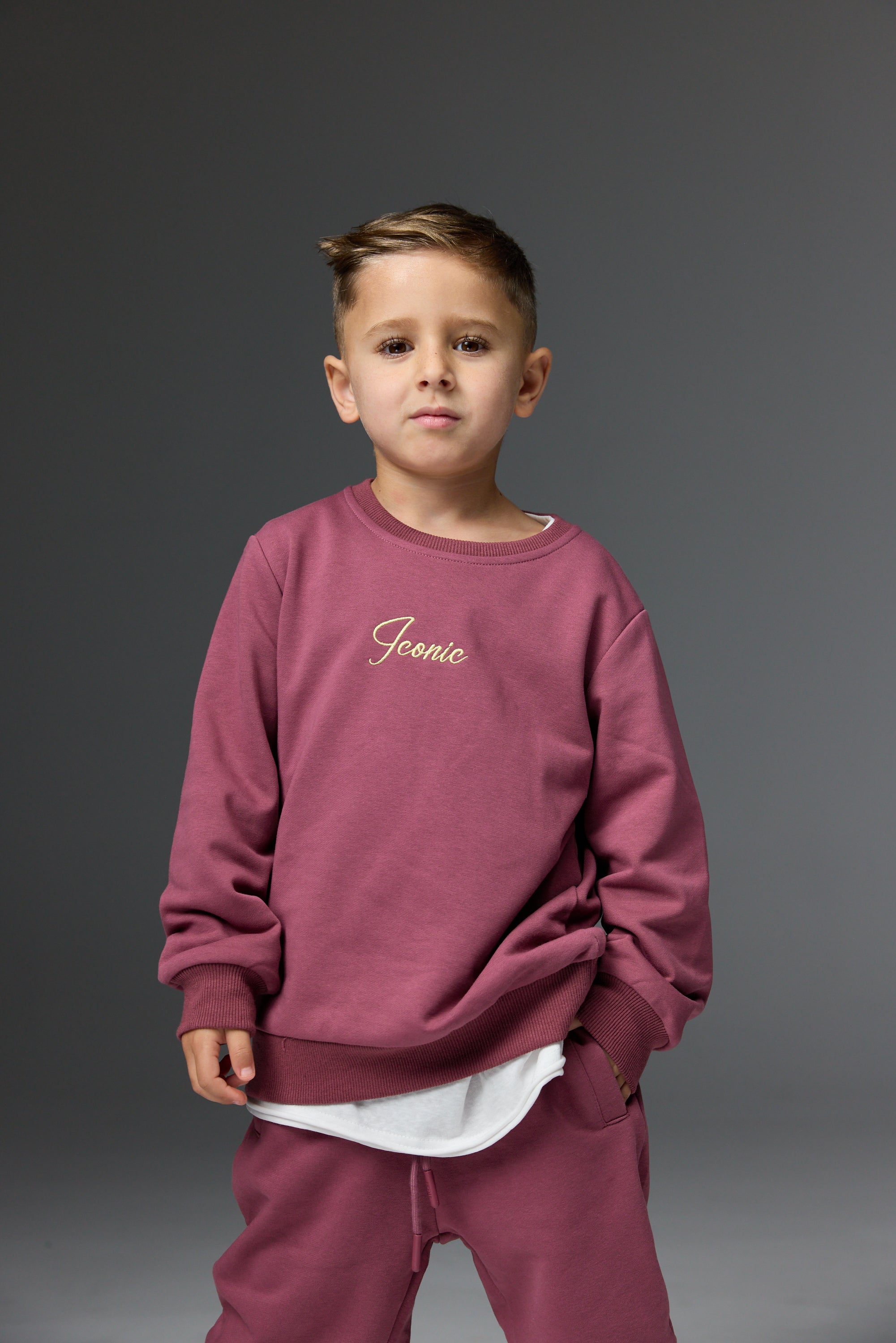 סוויטשרט אייקון סגול חציל