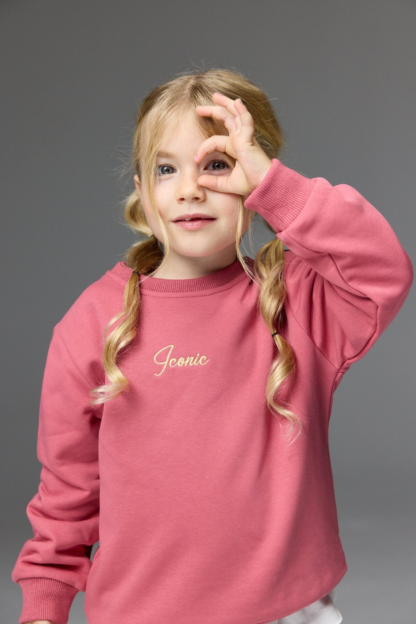 סוויטשרט אייקון דובדבן - Hipster