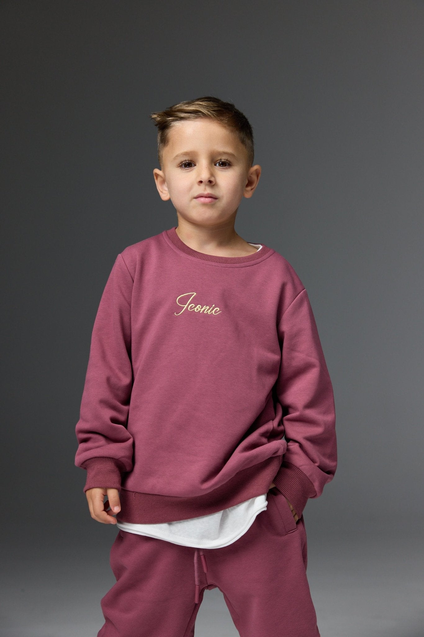 סוויטשרט אייקון סגול חציל - Hipster