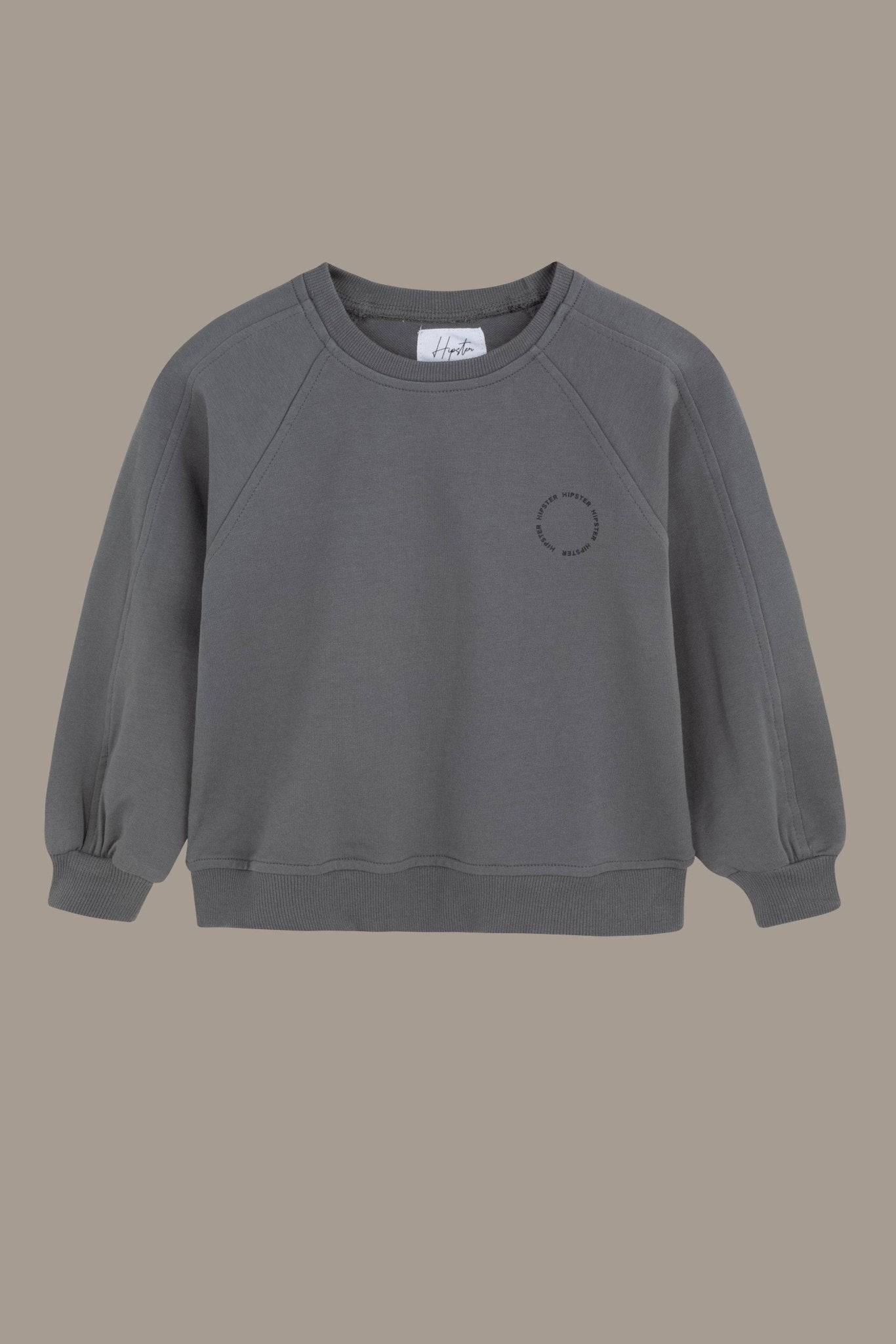 סוויטשירט עם הדפס עגול אפור - Hipster