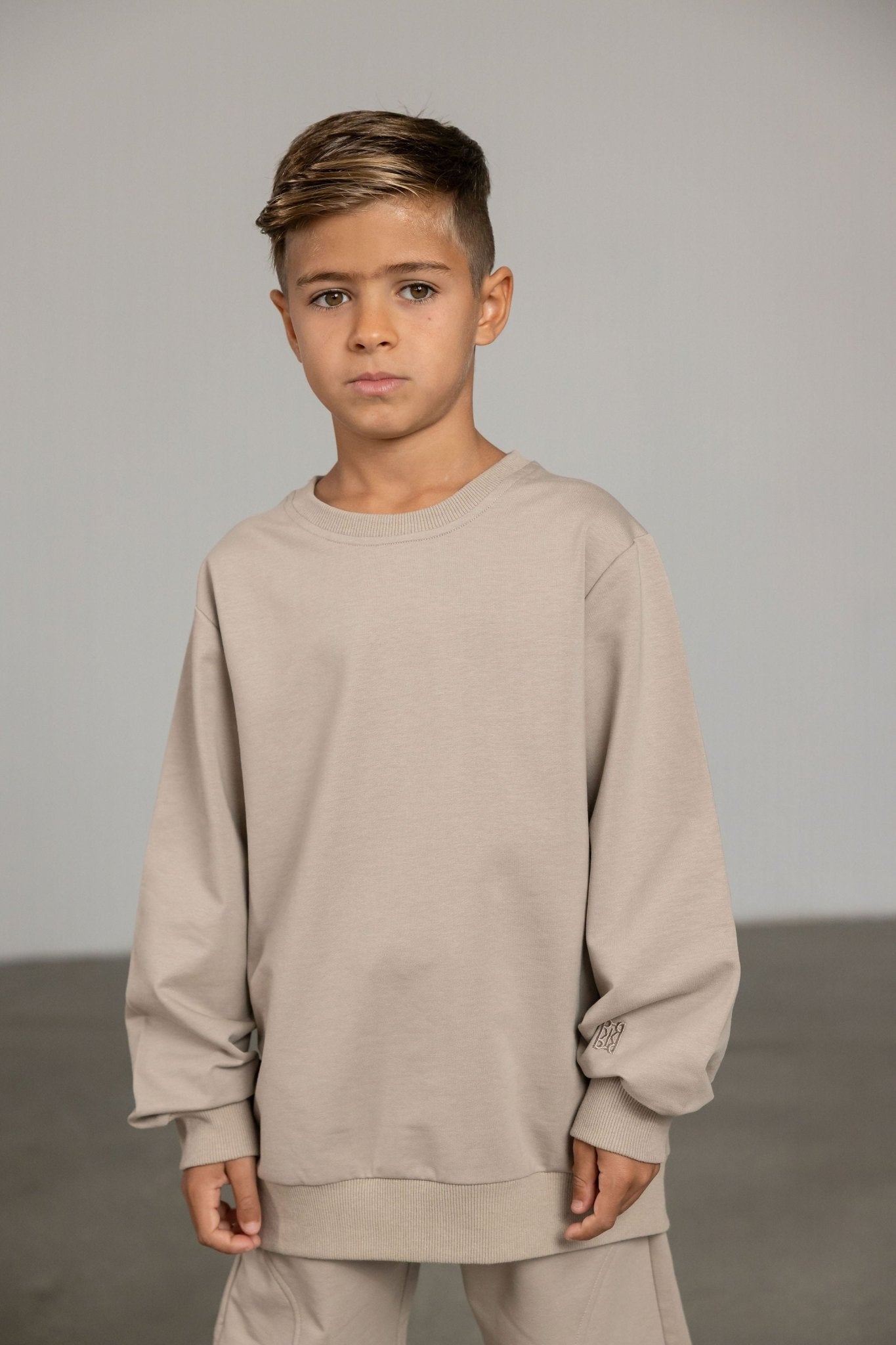 סווטשירט אבן עם רקמת לוגו - Hipster