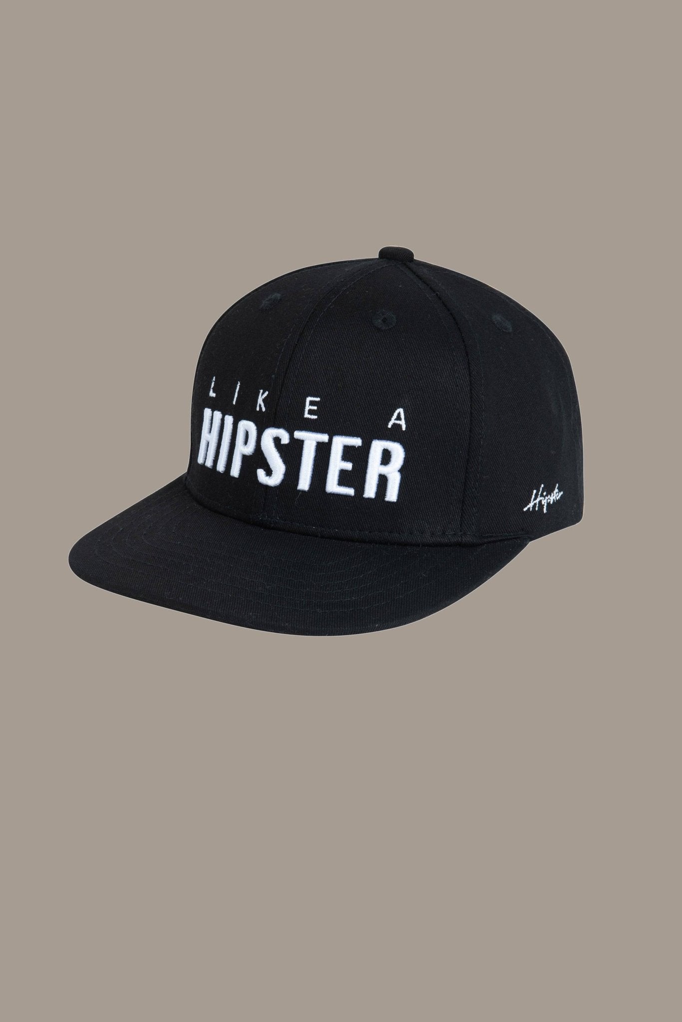 כובע Like Hipster - Hipster